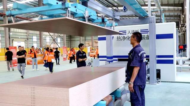 华南区首条热康板生产线在港南区投入使用 九羊林星热康板受关注